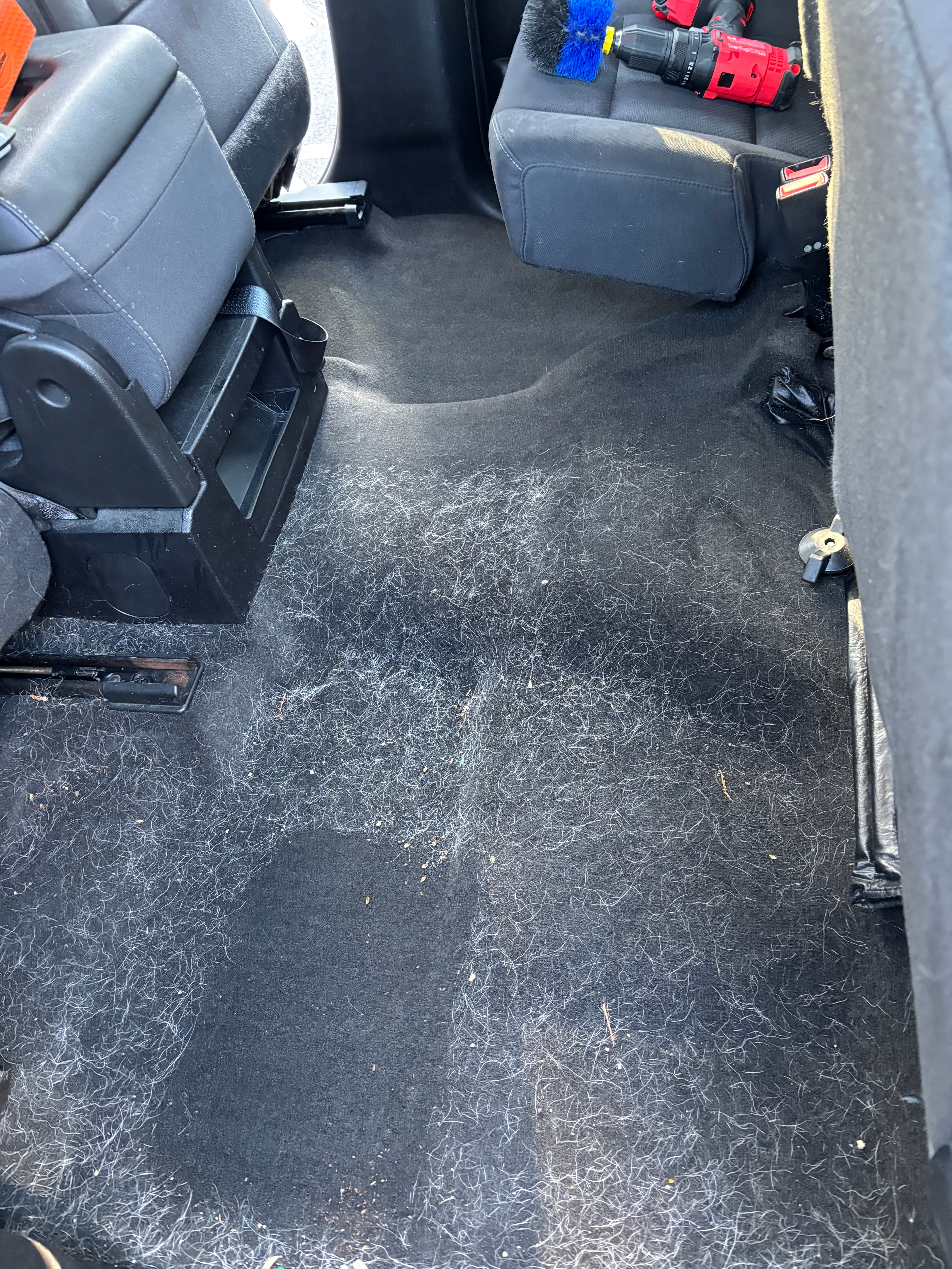 Pet Hair Removal & Interior Detail